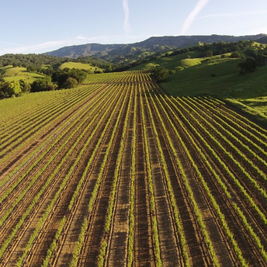 Visit California's Central Valley